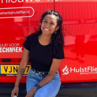 Hulstflier foto